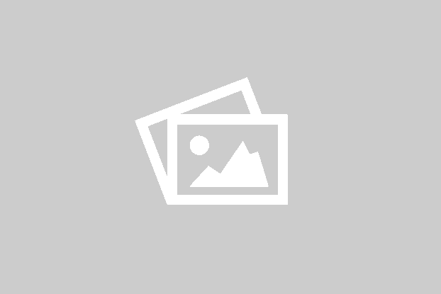 Revision-Audit Revision-Audit